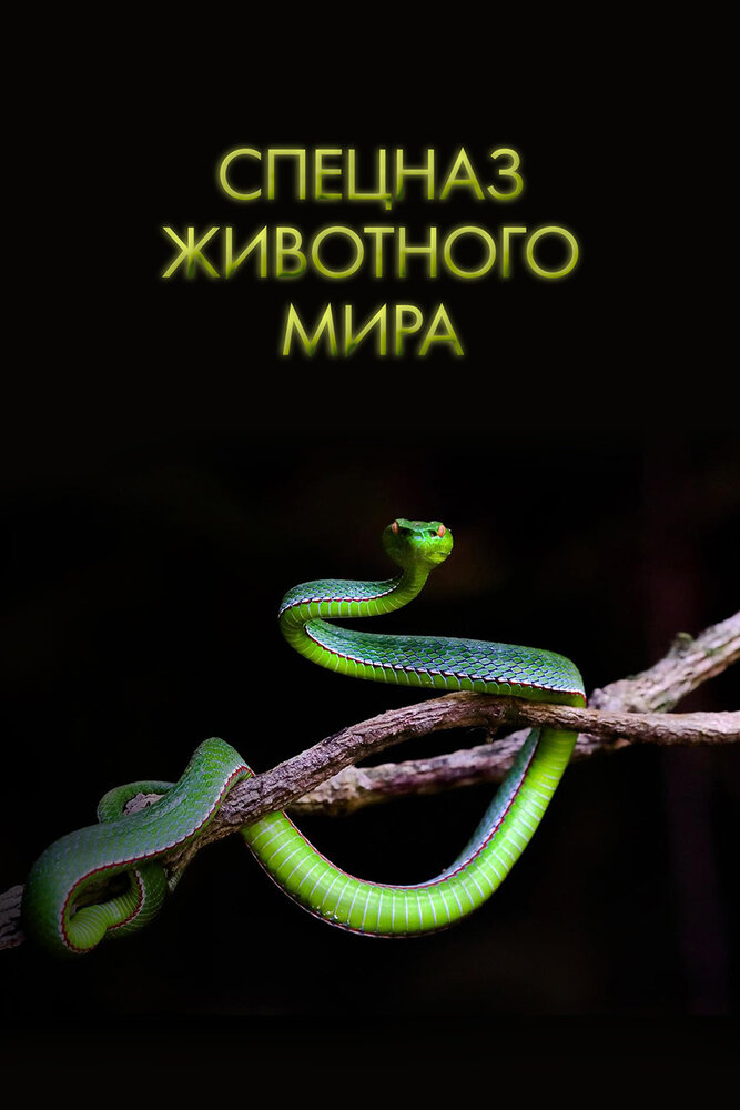 Спецназ животного мира (2018)