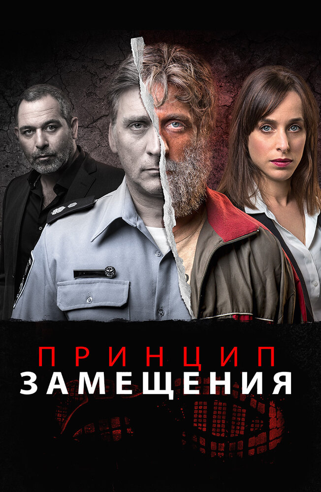 Принцип замещения (2016)