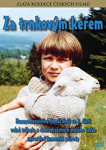 За кустами терновника (1982)